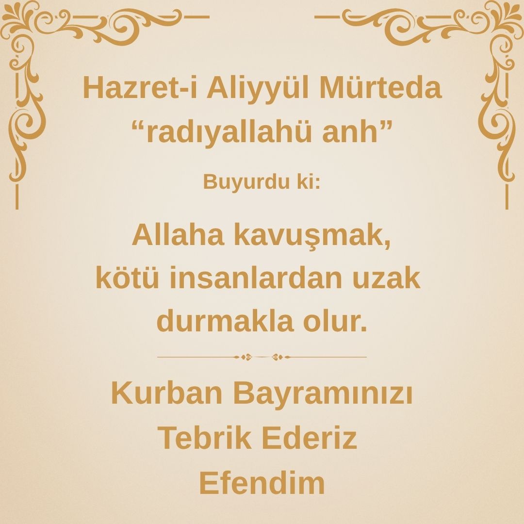 Aliyyül Mürteda (45)